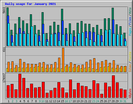 Daily usage for January 2021