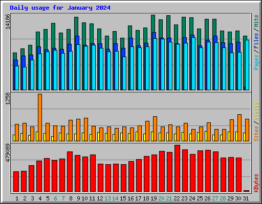 Daily usage for January 2024