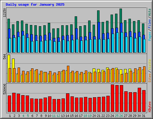 Daily usage for January 2025