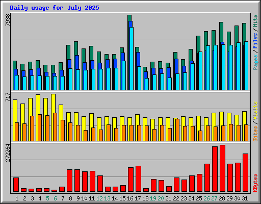 Daily usage for July 2025