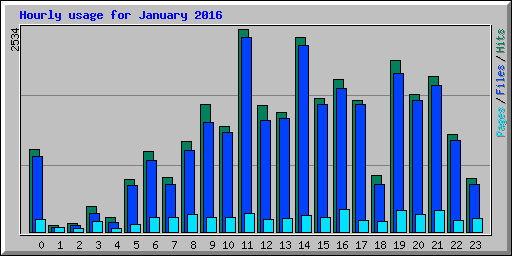 Hourly usage for January 2016