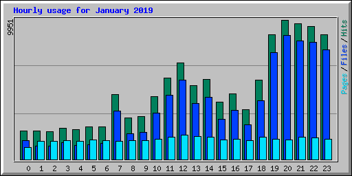 Hourly usage for January 2019