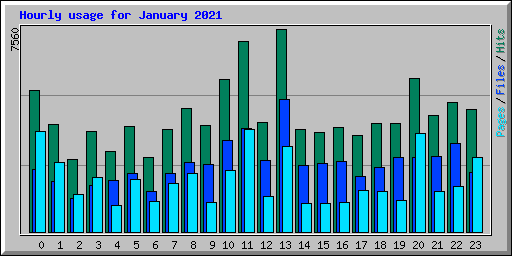 Hourly usage for January 2021