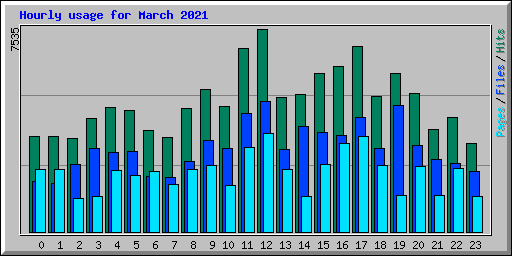 Hourly usage for March 2021