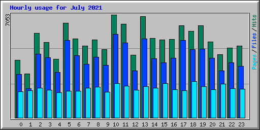 Hourly usage for July 2021