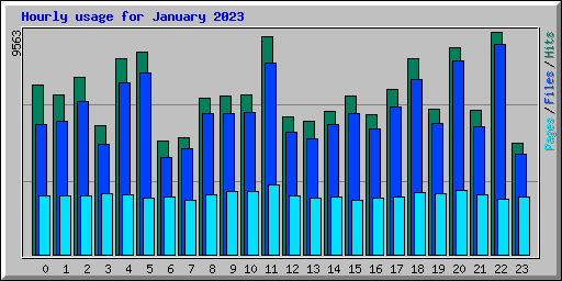 Hourly usage for January 2023