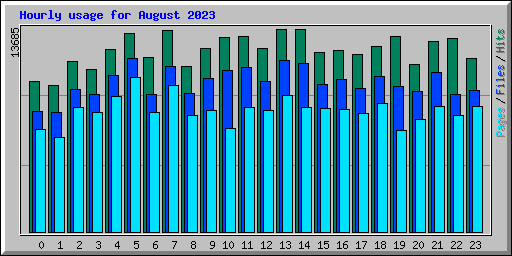Hourly usage for August 2023