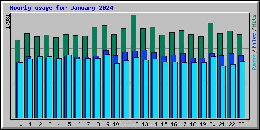Hourly usage for January 2024