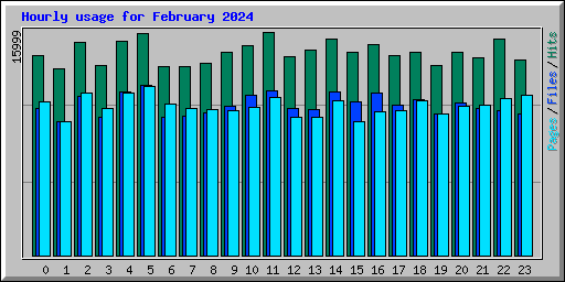 Hourly usage for February 2024