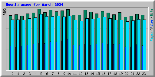 Hourly usage for March 2024