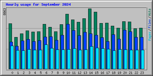 Hourly usage for September 2024