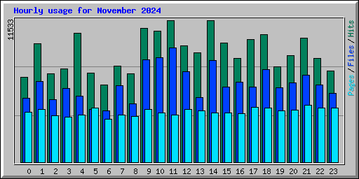 Hourly usage for November 2024