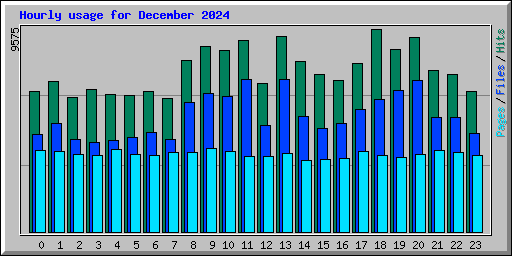 Hourly usage for December 2024