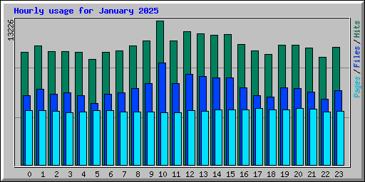 Hourly usage for January 2025