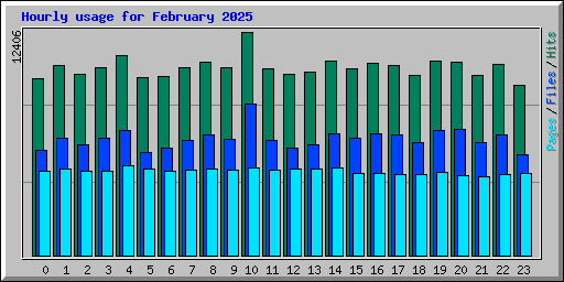 Hourly usage for February 2025
