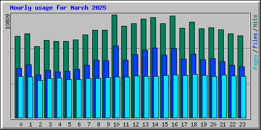 Hourly usage for March 2025