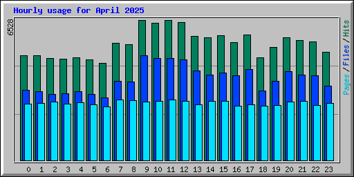 Hourly usage for April 2025