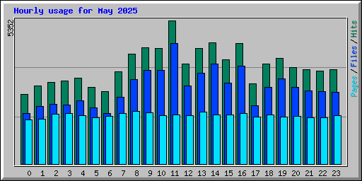 Hourly usage for May 2025