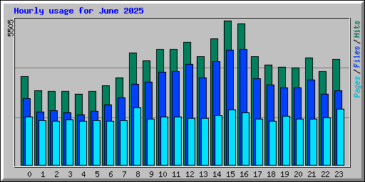Hourly usage for June 2025