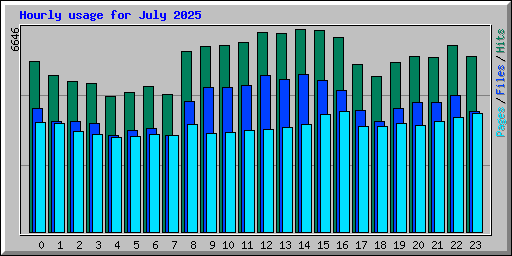 Hourly usage for July 2025