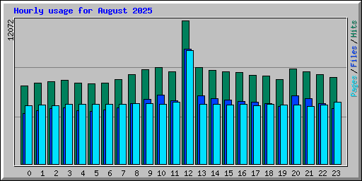 Hourly usage for August 2025