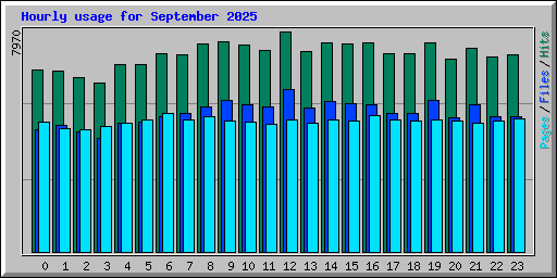 Hourly usage for September 2025