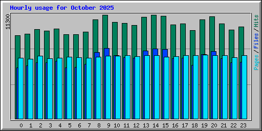 Hourly usage for October 2025