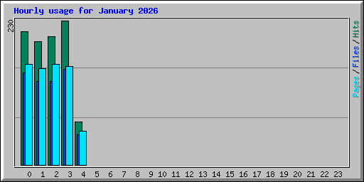 Hourly usage for January 2026
