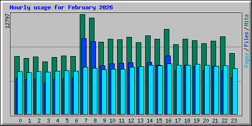 Hourly usage for February 2026