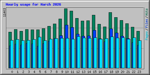 Hourly usage for March 2026