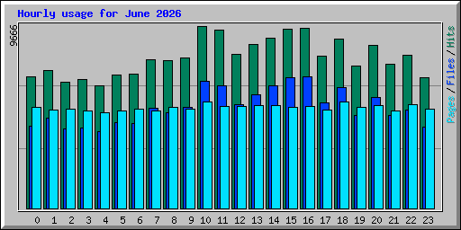 Hourly usage for June 2026