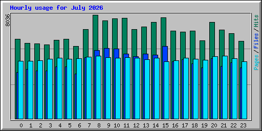 Hourly usage for July 2026