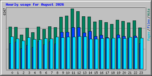 Hourly usage for August 2026